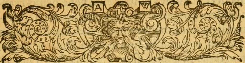 An illustration from Avreliae vrbis memorabilis ab Anglis obsidio, anno 1428, : et Ioannae Viraginis Lotharingiae res gestae., 1560, leaf 10