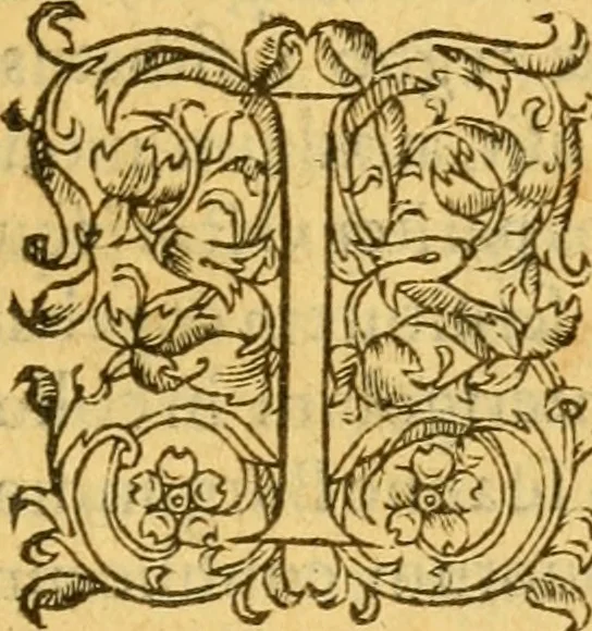 An illustration from Avreliae vrbis memorabilis ab Anglis obsidio, anno 1428, : et Ioannae Viraginis Lotharingiae res gestae., 1560, leaf 10