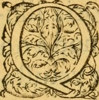 An illustration from Avreliae vrbis memorabilis ab Anglis obsidio, anno 1428, : et Ioannae Viraginis Lotharingiae res gestae., 1560, leaf 6