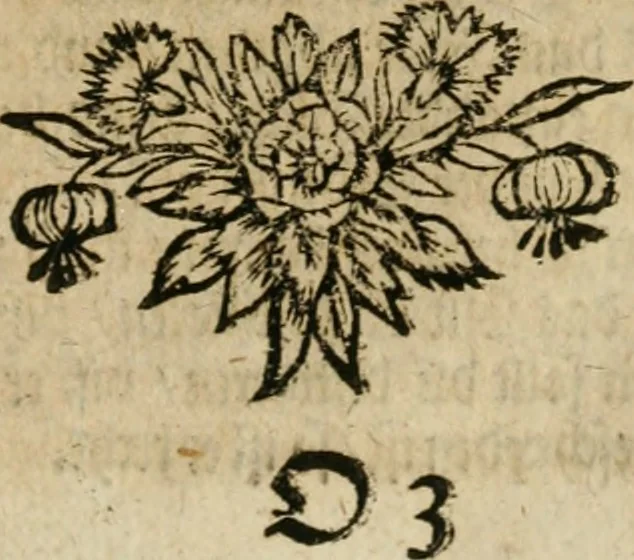An illustration from Avrevm vellvs, oder, Guldin Schatz und Kunst-Kammer : darinnen der aller fürnemisten, fürtreffenlichsten, ausserlesenesten, herrlichisten und bewehrtesten Auctorum Schrifften und Bücher, aufs dem gar uralten Schatz der uberblibnen, verborgnen, hinderhaltenen Reliquien und Monumenten der Aegyptiorum, Arabum, Chaldaeorum & Assyriorum Königen und Weysen, 1708, leaf 128
