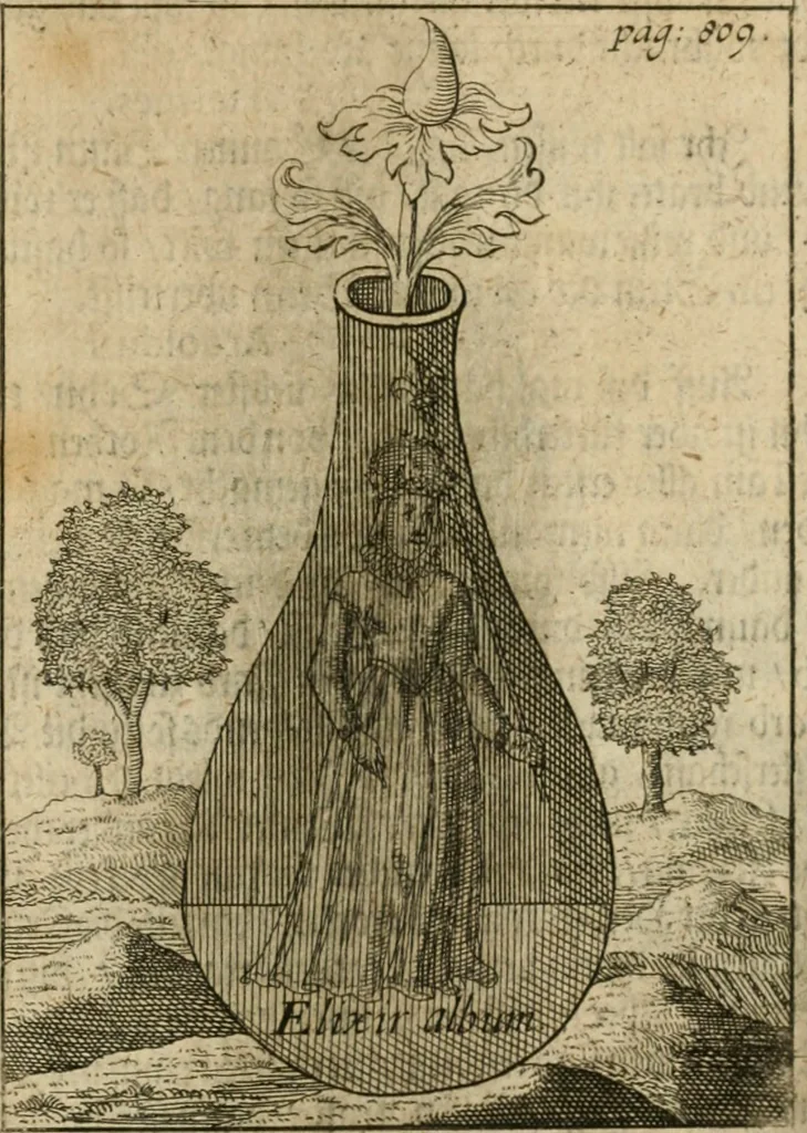 An illustration from Avrevm vellvs, oder, Guldin Schatz und Kunst-Kammer : darinnen der aller fürnemisten, fürtreffenlichsten, ausserlesenesten, herrlichisten und bewehrtesten Auctorum Schrifften und Bücher, aufs dem gar uralten Schatz der uberblibnen, verborgnen, hinderhaltenen Reliquien und Monumenten der Aegyptiorum, Arabum, Chaldaeorum & Assyriorum Königen und Weysen, 1708, leaf 828