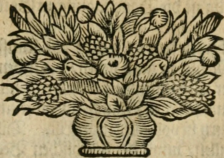 An illustration from Avrevm vellvs, oder, Guldin Schatz und Kunst-Kammer : darinnen der aller fürnemisten, fürtreffenlichsten, ausserlesenesten, herrlichisten und bewehrtesten Auctorum Schrifften und Bücher, aufs dem gar uralten Schatz der uberblibnen, verborgnen, hinderhaltenen Reliquien und Monumenten der Aegyptiorum, Arabum, Chaldaeorum & Assyriorum Königen und Weysen, 1708, leaf 84