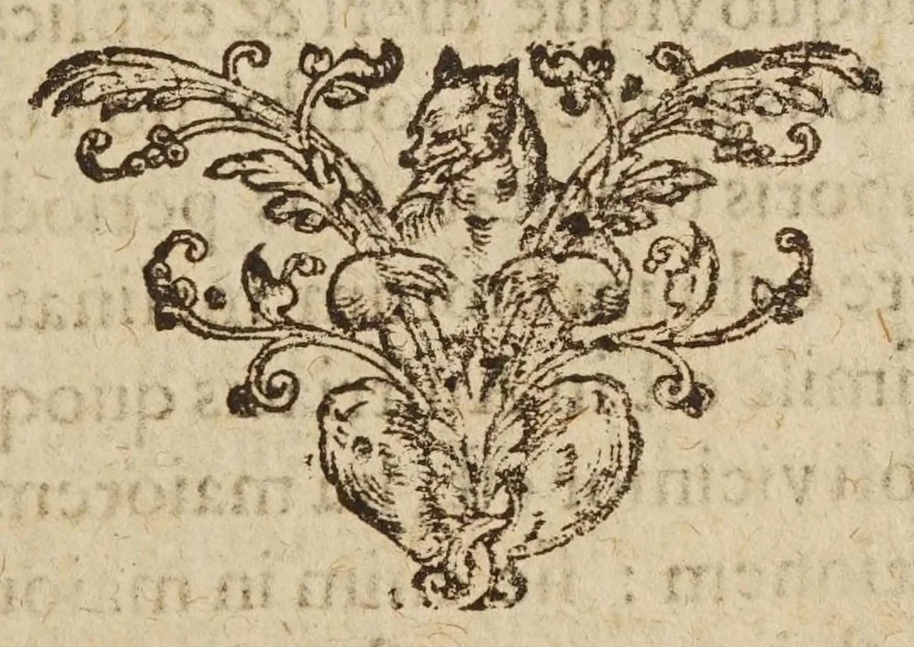 An illustration from Avstriaca sidera heliocyclia astronomicis hypothesibvs jlligata, 1633, leaf 117