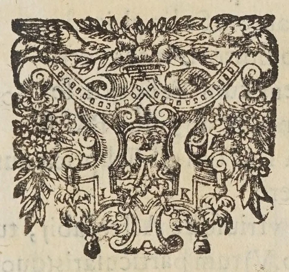 An illustration from Avstriaca sidera heliocyclia astronomicis hypothesibvs jlligata, 1633, leaf 49