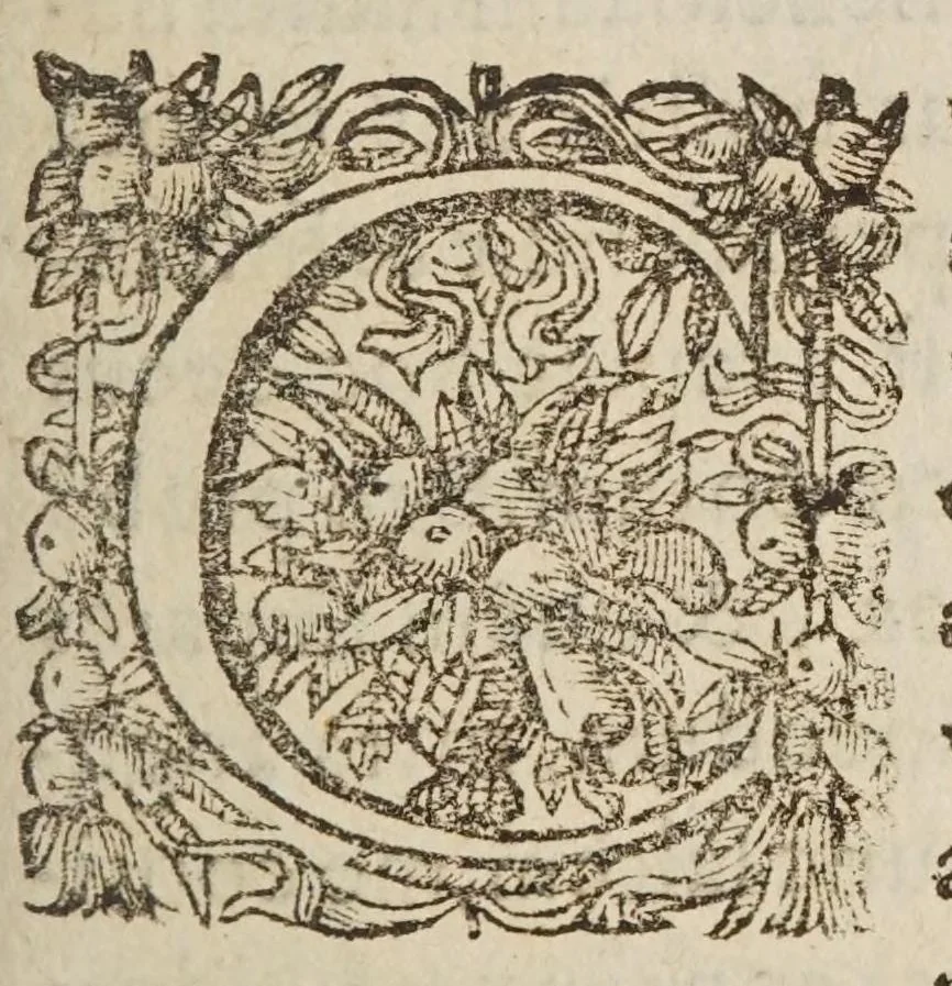 An illustration from Avstriaca sidera heliocyclia astronomicis hypothesibvs jlligata, 1633, leaf 9