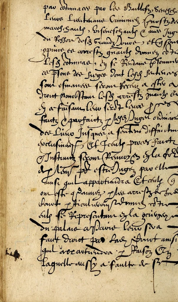 An illustration from Avtre arrest donné en la Covrt des Grandz Iovrs seant en la ville de Poictiers. Contre les deffaillans & contumax condemnez à mort., 1579, leaf 22