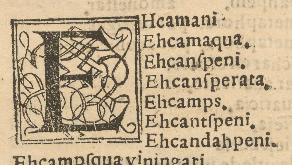 An illustration from Vocabulario en lengua de Mechuacan, 1559, leaf 63