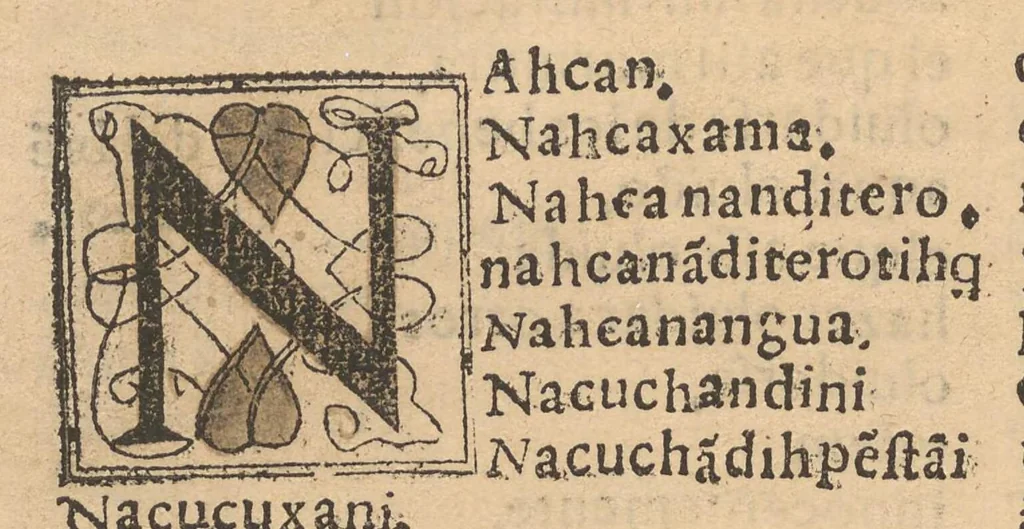 An illustration from Vocabulario en lengua de Mechuacan, 1559, leaf 91