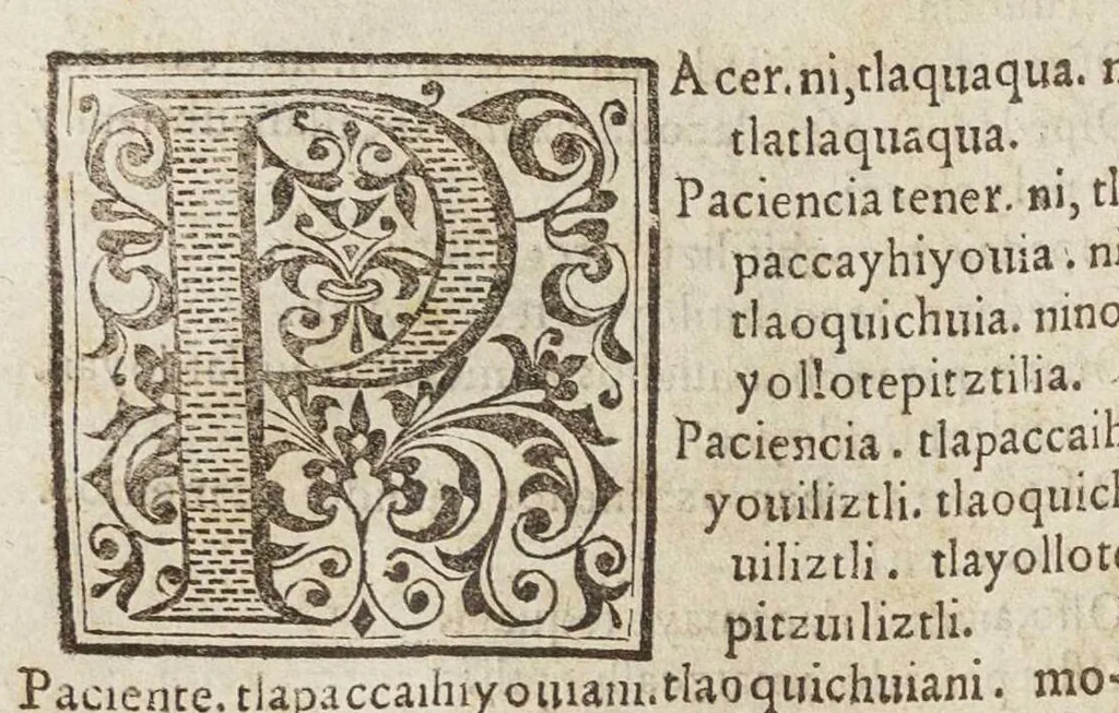 An illustration from Vocabvlario en lengva Castellana y Mexicana, 1571, leaf 193
