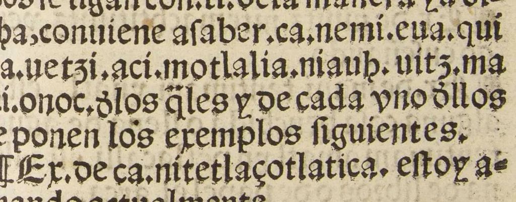 An illustration from Arte de la lengua Mexicana y Castellana, 1571, leaf 214