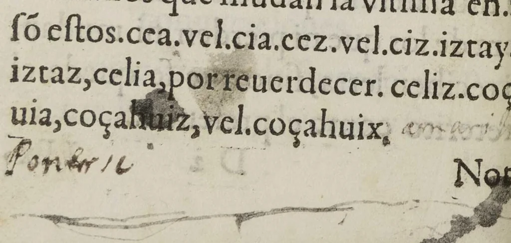 An illustration from Arte mexicana : compvesta por el padre Antonio del Rincon de la compañia de Iesus. Dirigido al illustrissimo y reuerendissimo S. don Diego Romano..., 1595, leaf 59