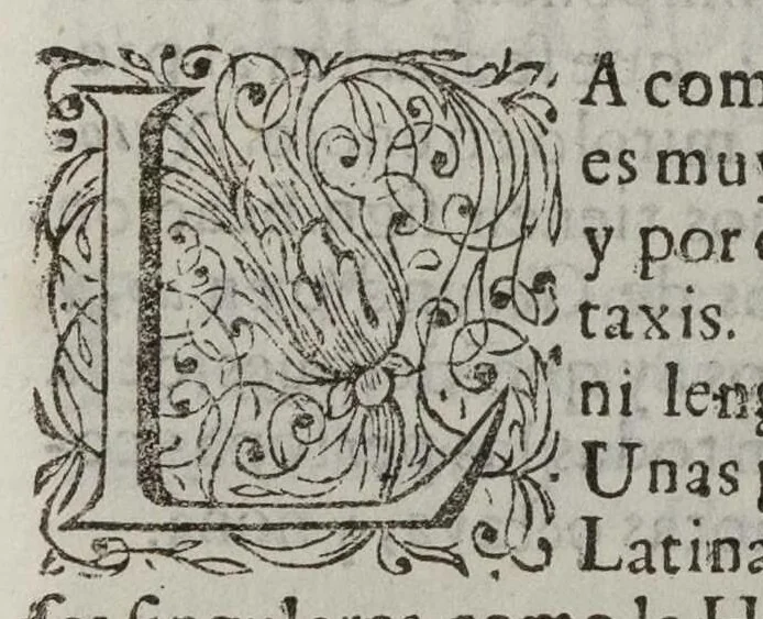 An illustration from Arte de lengva mexicana, dispvesto, 1673, leaf 92