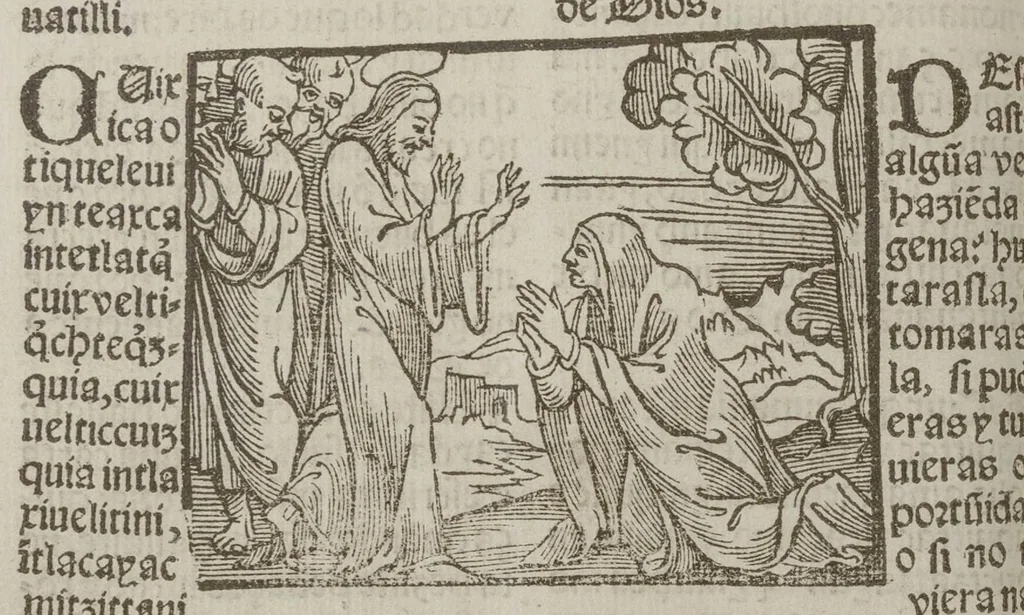 An illustration from Confessionario breue, en lengua mexicana y castellana, 1565, leaf 180