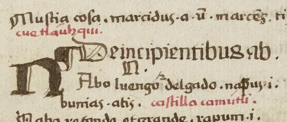 An illustration from Dictionarium ex Hisniensi in Latinum sermonem, 1540, leaf 235