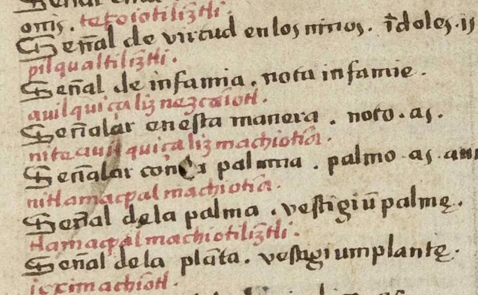 An illustration from Dictionarium ex Hisniensi in Latinum sermonem, 1540, leaf 285