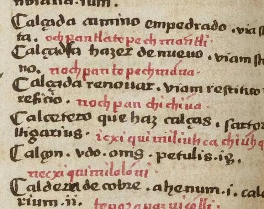 An illustration from Dictionarium ex Hisniensi in Latinum sermonem, 1540, leaf 69