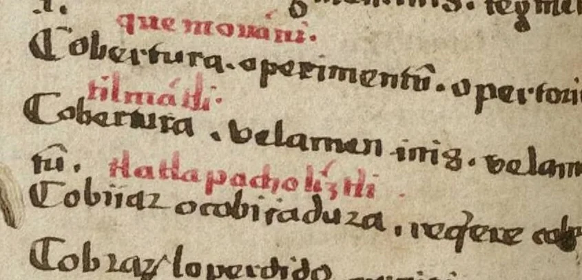 An illustration from Dictionarium ex Hisniensi in Latinum sermonem, 1540, leaf 81