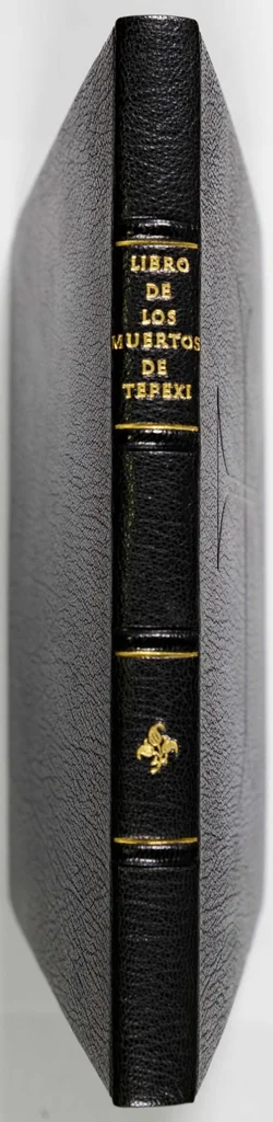 An illustration from Libro donde se asientan los que se mueren en este pueblo de Tepexic desde marc̦o de 1605 en adelante, 1605, leaf 208