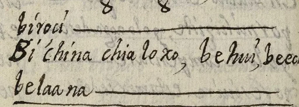 An illustration from Bucabulario de la lengua castellena ! y zapoteca nexitza se acabó a 16 de nobienbre 1696 años, 1696, leaf 99