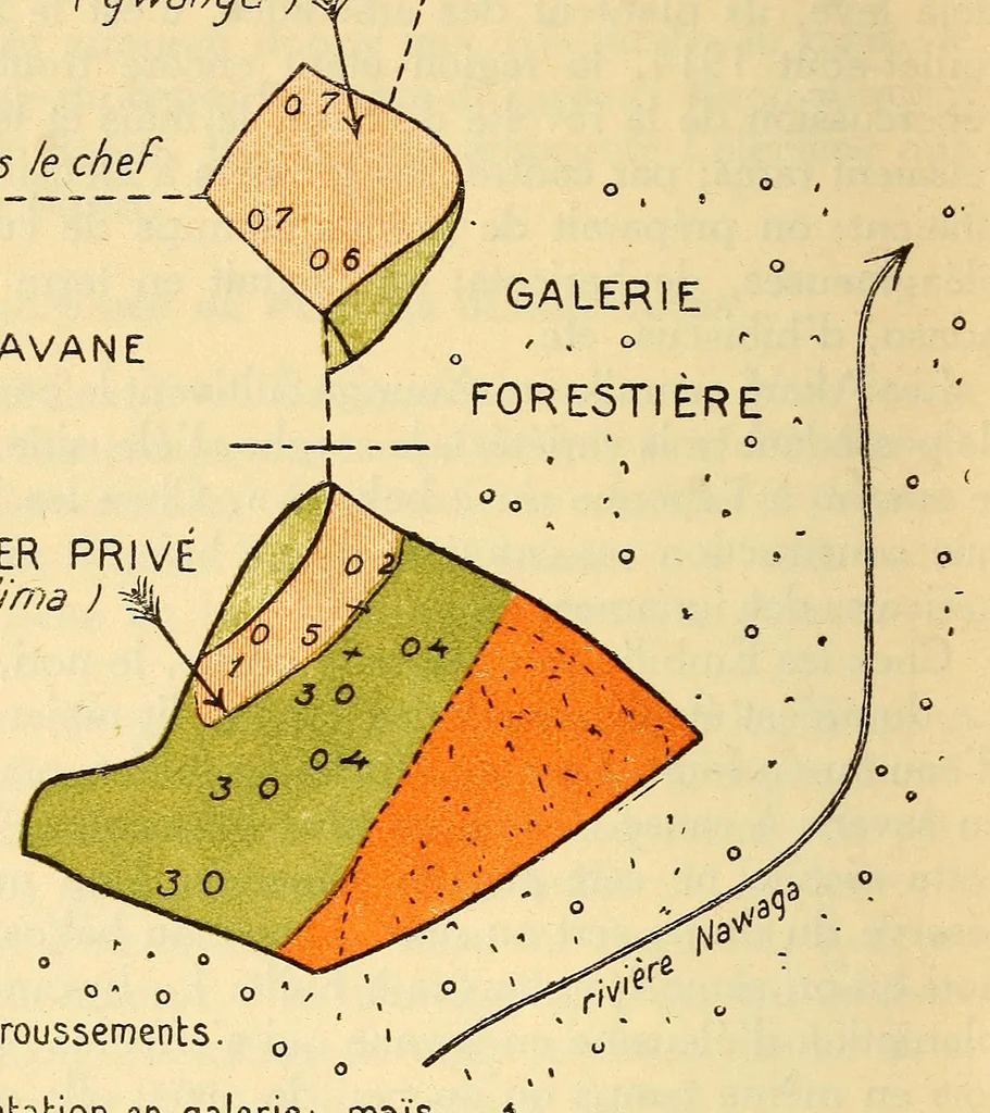 An illustration from Azande; introduction à une ethnographie générale des bassins de l'Ubangi-Uele et de l'Aruwimi, 1921, leaf 258