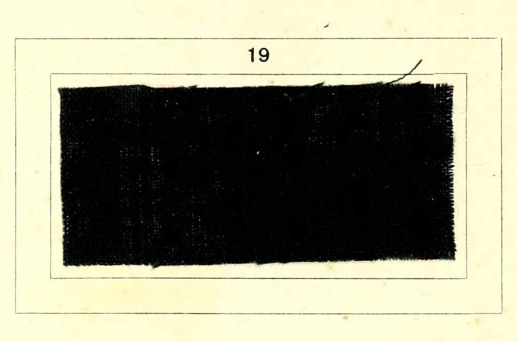 An illustration from Azonine auf Azetatseide = Azonines on acetate silk = Azonine sur soie acetate, 1890, leaf 13