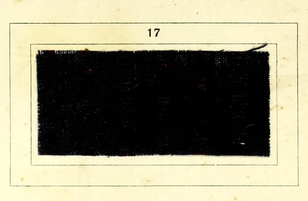 An illustration from Azonine auf Azetatseide = Azonines on acetate silk = Azonine sur soie acetate, 1890, leaf 13