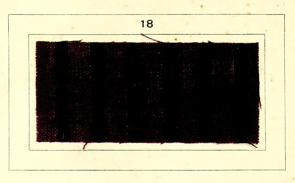 An illustration from Azonine auf Azetatseide = Azonines on acetate silk = Azonine sur soie acetate, 1890, leaf 13