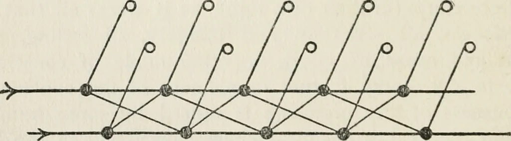 An illustration from Body and mind; a history and a defense of animism, 1920, leaf 149