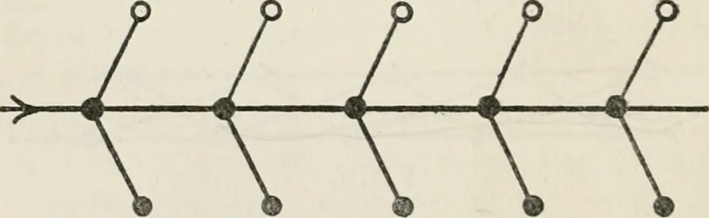An illustration from Body and mind; a history and a defense of animism, 1920, leaf 153