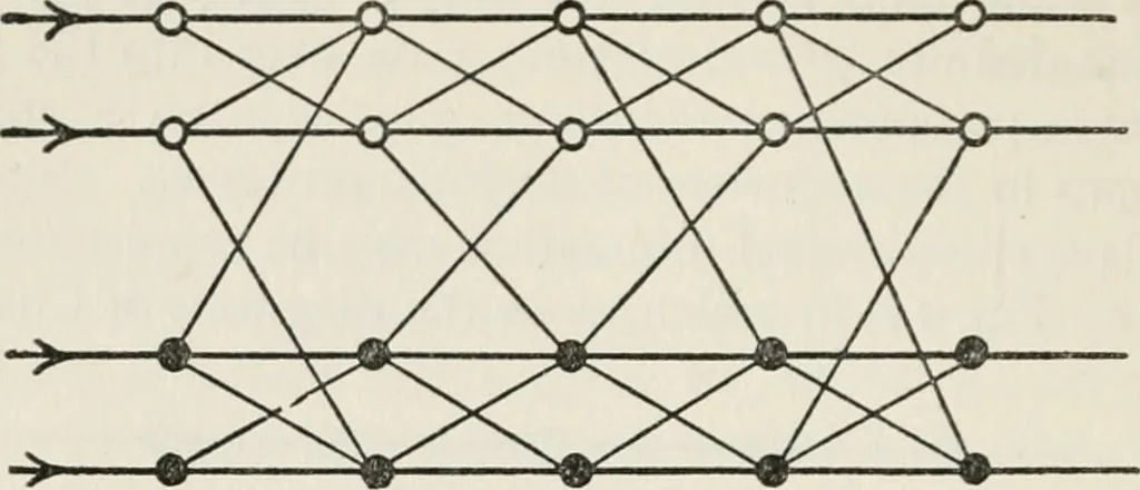 An illustration from Body and mind; a history and a defense of animism, 1920, leaf 249