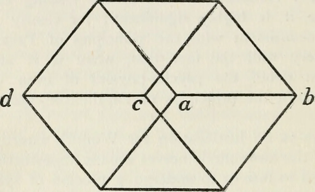 An illustration from Body and mind; a history and a defense of animism, 1920, leaf 329