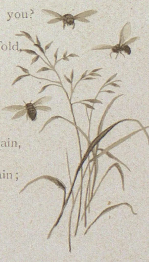 An illustration from All round the clock, 1887, leaf 34