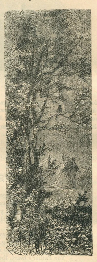 An illustration from Routledge's Every Girl's Annual, 1883, leaf 540