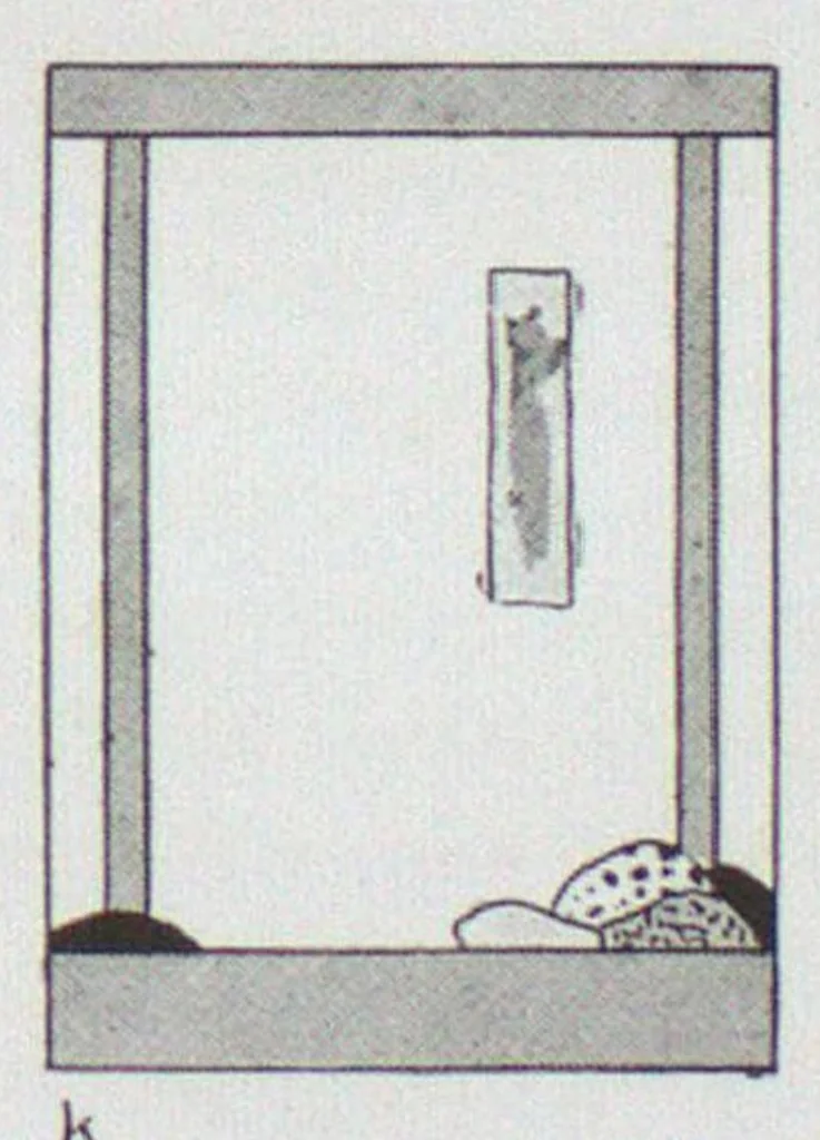 An illustration from Color in everyday life : a manual for lay students, artisans and artists on the principles of color combination and color arrangement, and their applications in dress, home, business, the theatre and community play, 1927, leaf 108