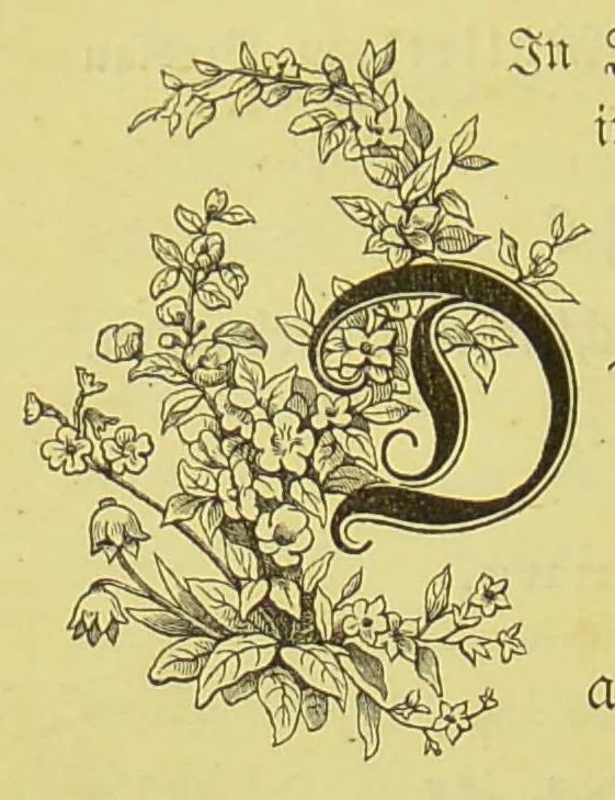 An illustration from Farben und Schöpfung [electronic resource] : acht Vorlesungen über die Beziehungen der Farben zum Menschen und zur Natur, 1881, leaf 304