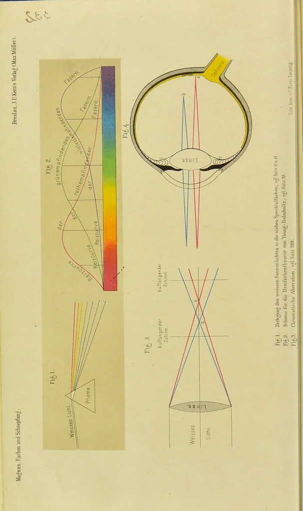 An illustration from Farben und Schöpfung [electronic resource] : acht Vorlesungen über die Beziehungen der Farben zum Menschen und zur Natur, 1881, leaf 8