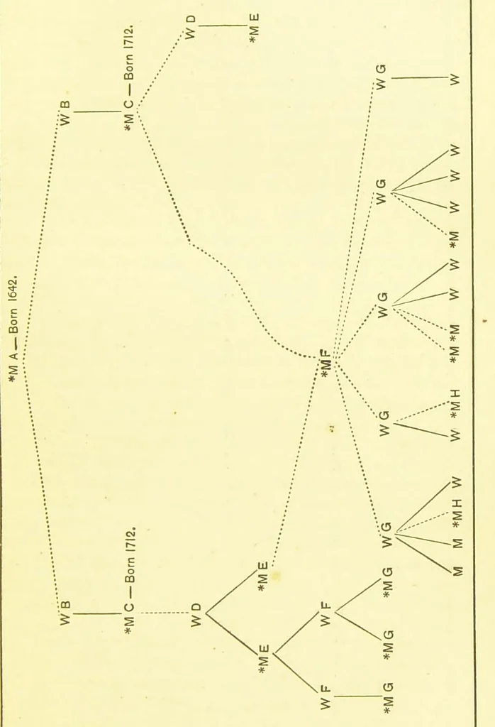 An illustration from Color-blindness [electronic resource] : its dangers and its detection, 1879, leaf 89