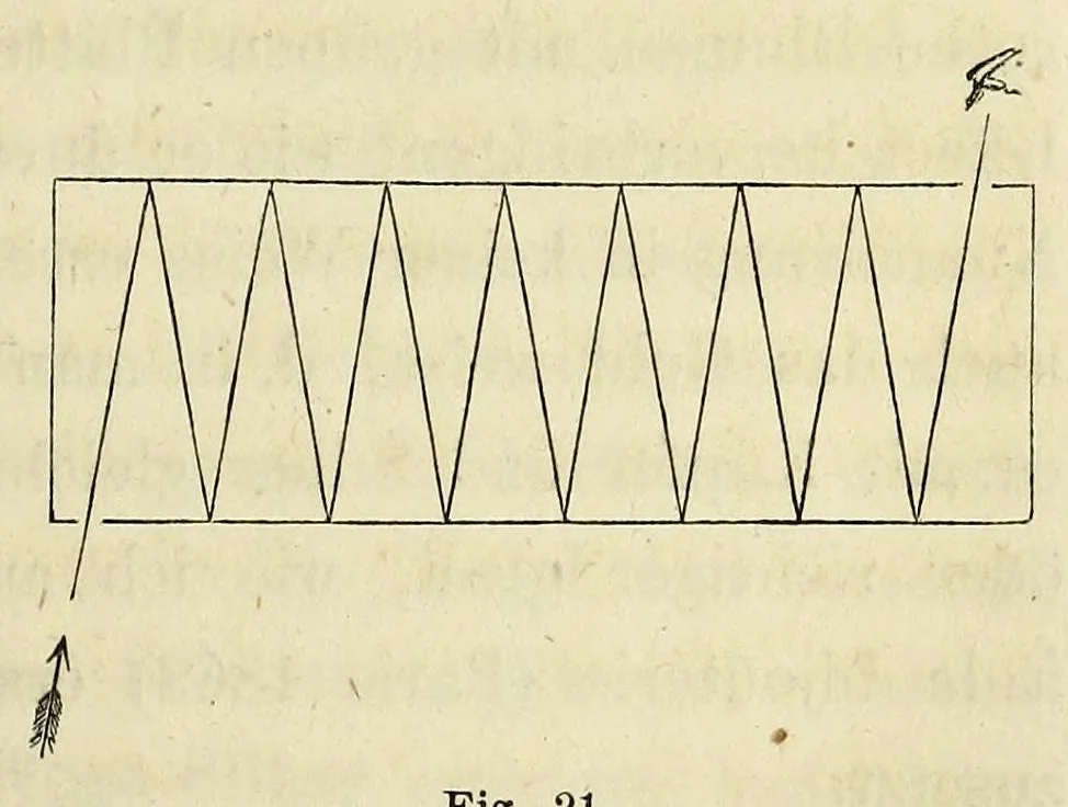 An illustration from Die Physiologie der Farben [electronic resource] : für die Zwecke der Kunstgewerbe, 1866, leaf 117