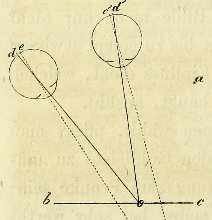 An illustration from Die Physiologie der Farben [electronic resource] : für die Zwecke der Kunstgewerbe, 1866, leaf 238