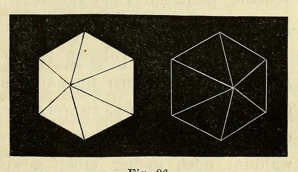 An illustration from Die Physiologie der Farben [electronic resource] : für die Zwecke der Kunstgewerbe, 1866, leaf 239