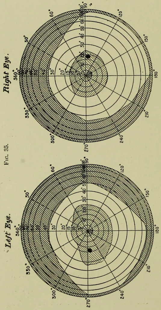 An illustration from Colour vision [electronic resource] : being the Tyndall lectures delivered in 1894 at the Royal Institution, 1895, leaf 160