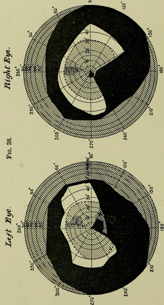 An illustration from Colour vision [electronic resource] : being the Tyndall lectures delivered in 1894 at the Royal Institution, 1895, leaf 174