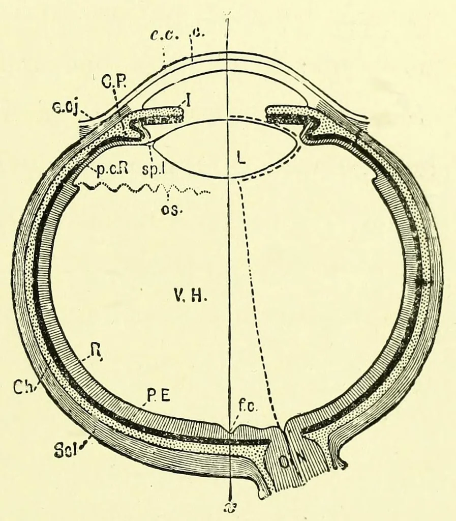 An illustration from Colour vision [electronic resource] : being the Tyndall lectures delivered in 1894 at the Royal Institution, 1895, leaf 19