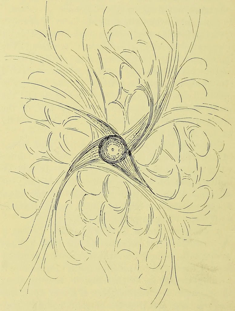 An illustration from The Hunterian lectures on colour-vision and colour-blindness [electronic resource] : delivered before the Royal College of Surgeons of England on February 1st and 3rd, 1911, 1911, leaf 22