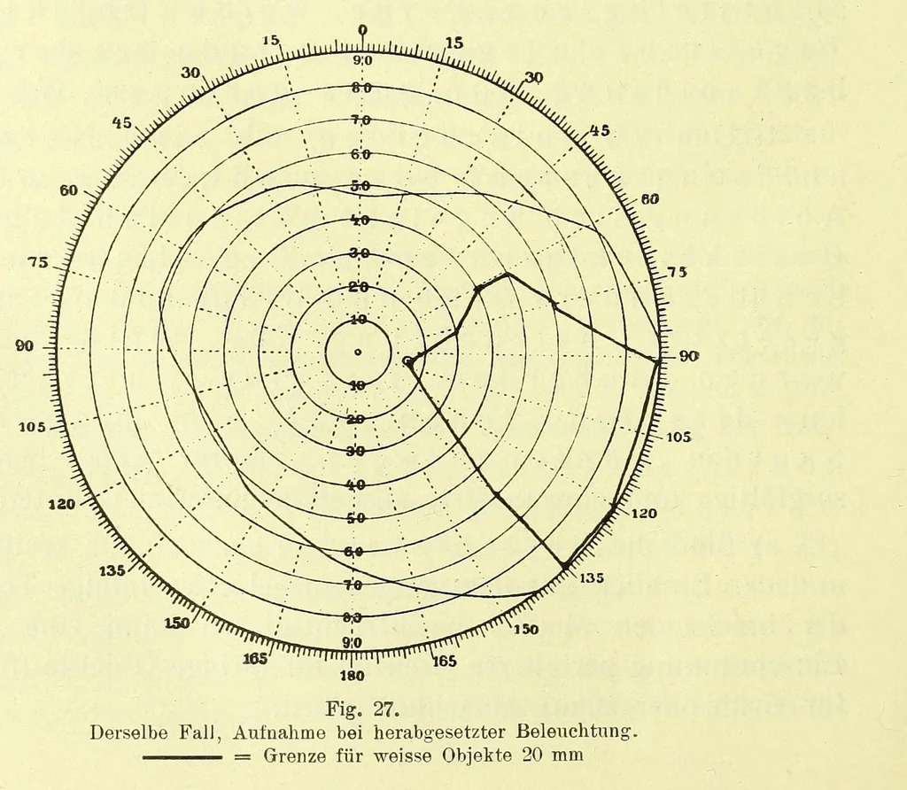 An illustration from Die StÃ¶rungen des Farbensinnes [electronic resource] : ihre klinische Bedeutung und ihre Diagnose, 1912, leaf 272