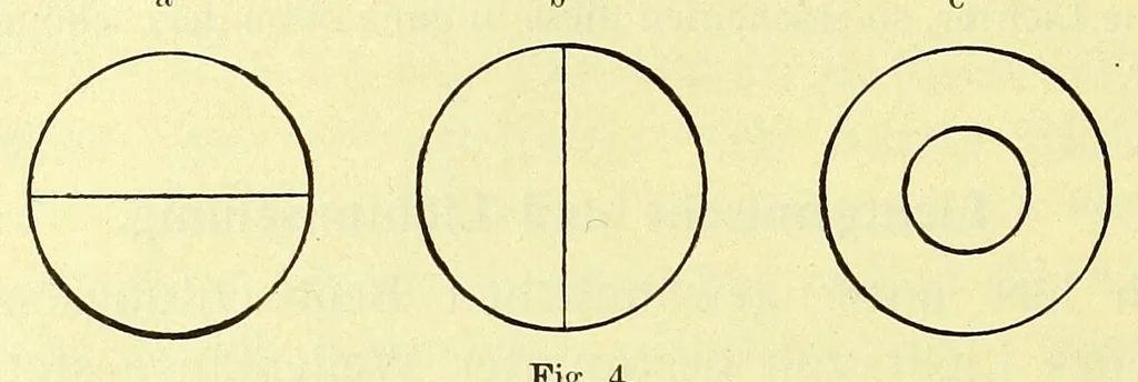An illustration from Die StÃ¶rungen des Farbensinnes [electronic resource] : ihre klinische Bedeutung und ihre Diagnose, 1912, leaf 28