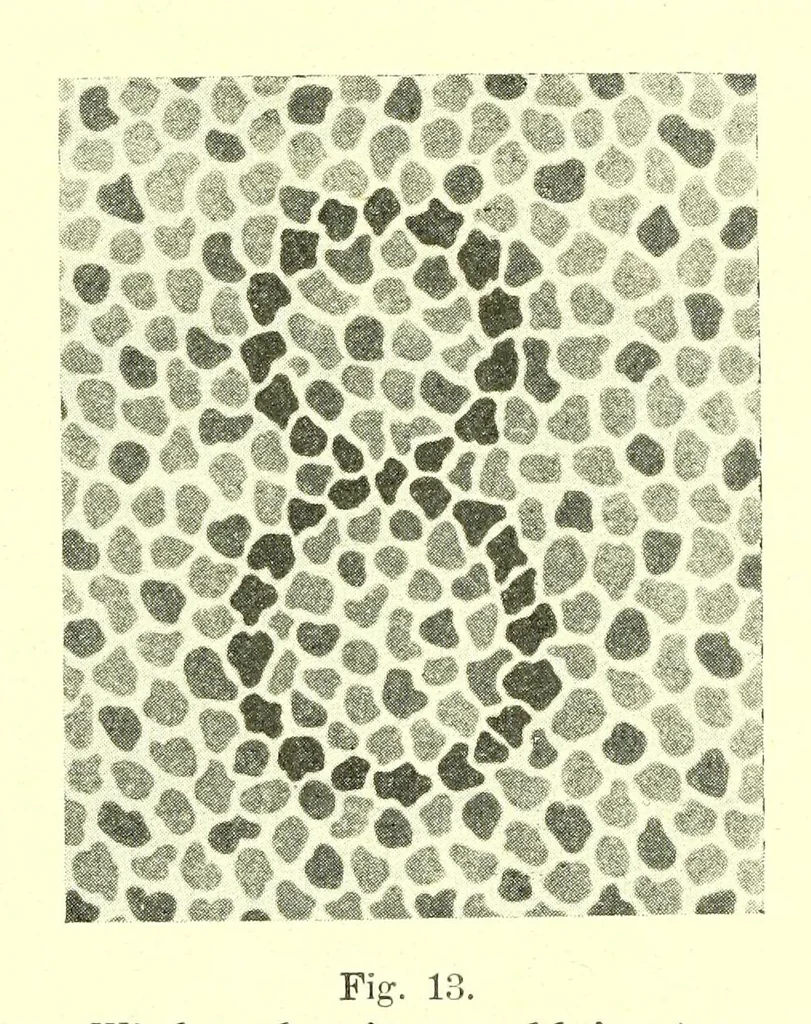 An illustration from Die StÃ¶rungen des Farbensinnes [electronic resource] : ihre klinische Bedeutung und ihre Diagnose, 1912, leaf 93