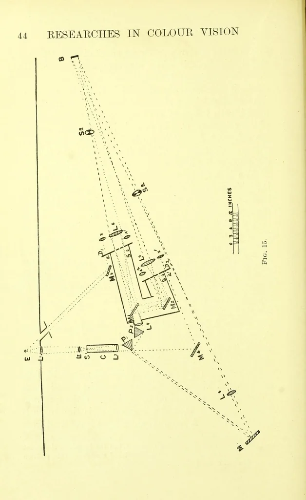 An illustration from Researches in colour vision [electronic resource] : and the trichromatic theory, 1913, leaf 64
