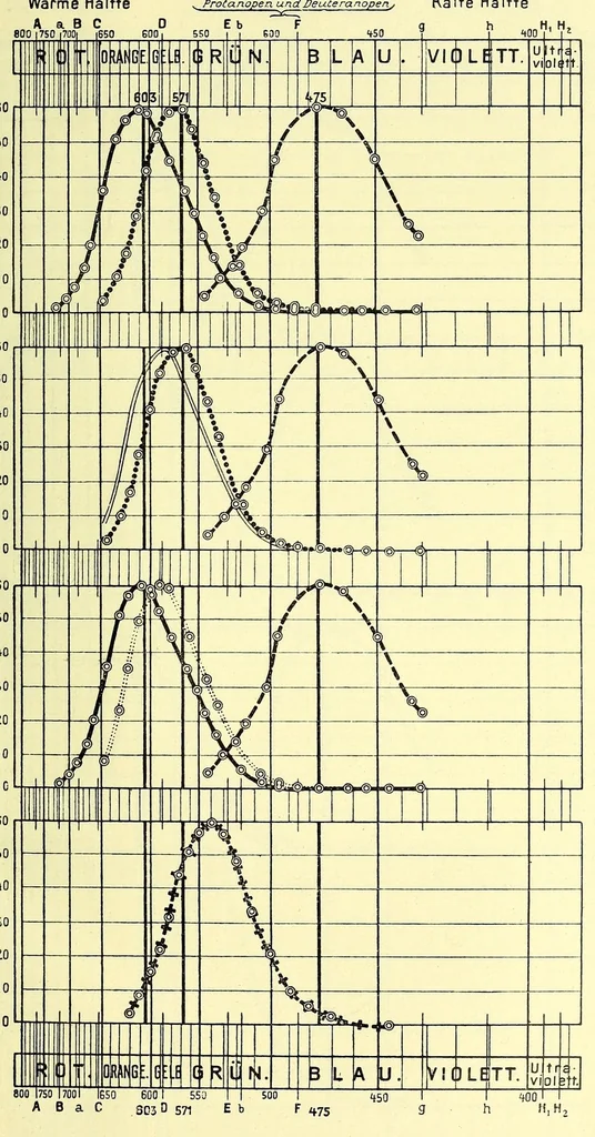 An illustration from Anleitung zur Feststellung der Farbentüchtigkeit / von J. Rosmanit, 1914, leaf 211