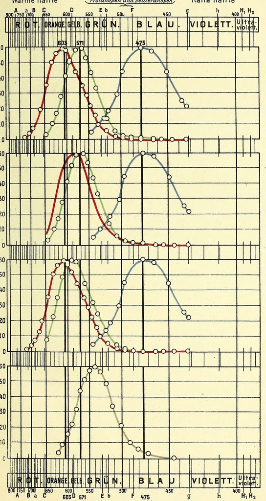 An illustration from Anleitung zur Feststellung der Farbentüchtigkeit / von J. Rosmanit, 1914, leaf 213